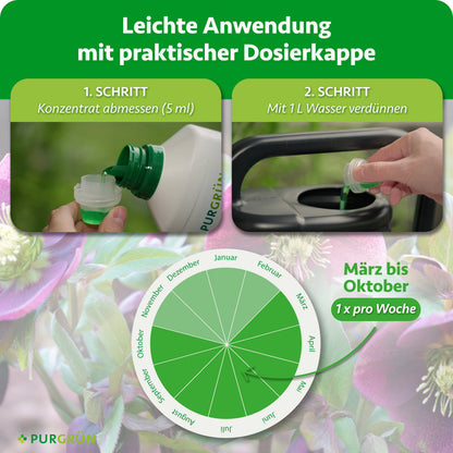 Anwendung: 5 ml Konzentrat abmessen, mit 1 L Wasser verdünnen und von März bis Oktober 1× pro Woche düngen.