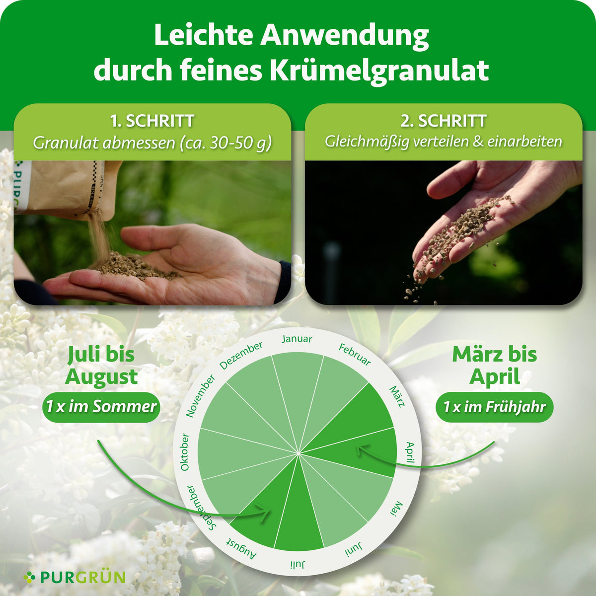 Anwendung: 30–50 g Granulat abmessen, gleichmäßig verteilen und einarbeiten. Je einmal im Frühjahr von März bis April und im Sommer von Juli bis August düngen.