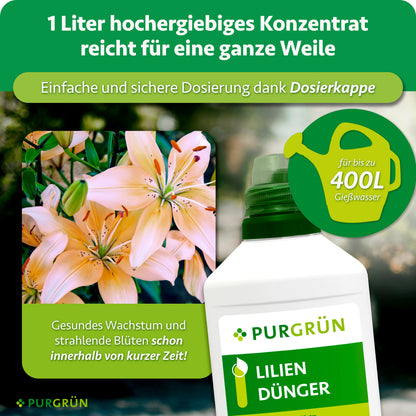 1 Liter Konzentrat mit Dosierkappe reicht für bis zu 400 Liter Gießwasser; daneben blühende Lilien und die Düngerflasche.