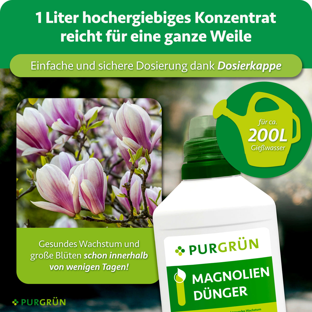1 Liter Magnoliendünger-Konzentrat reicht für ca. 200 Liter Gießwasser; die Dosierkappe ermöglicht eine einfache und sichere Dosierung.