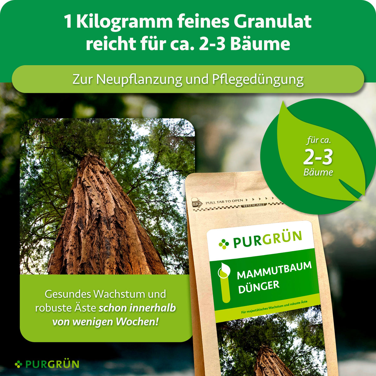 1 Kilogramm feines Granulat reicht für ca. 2–3 Bäume und eignet sich zur Neupflanzung und Pflegedüngung; gesundes Wachstum und robuste Äste schon innerhalb weniger Wochen.