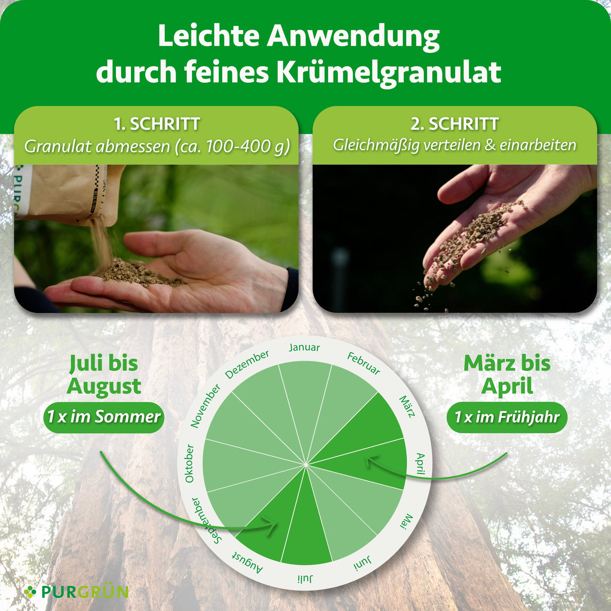 Anwendung: Granulat abmessen (ca. 100–400 g), dann gleichmäßig verteilen und einarbeiten. März bis April 1 x im Frühjahr und Juli bis August 1 x im Sommer düngen.