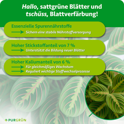 Essenzielle Spurennährstoffe sichern die Nährstoffversorgung; 7 % Stickstoff unterstützen neue Blätter und 6 % Kalium gleichmäßiges Wachstum sowie wichtige Stoffwechselprozesse.