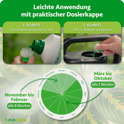 Anwendung: 5 ml Konzentrat abmessen und mit 2 l Wasser verdünnen. Von März bis Oktober alle 2 Wochen, von November bis Februar alle 8 Wochen düngen.