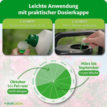 Purgrün Oleander-Dünger 1 Liter wird in einen Messbecher gefüllt, in eine Gießkanne gegeben und von März bis September wöchentlich gedüngt, um eine optimale Blüte zu erreichen. Für eine gute Oleanderpflege sollte von Oktober bis Februar nicht gedüngt werden.
