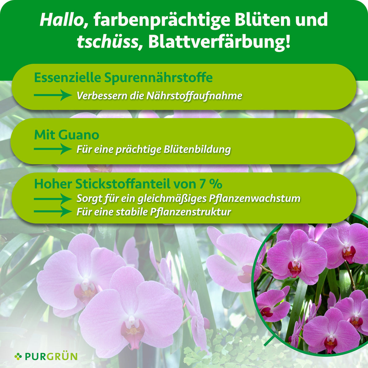 Spurennährstoffe verbessern die Nährstoffaufnahme und 7 % Stickstoff unterstützen gleichmäßiges Wachstum und eine stabile Pflanzenstruktur. Mit Guano für eine prächtige Blütenbildung.