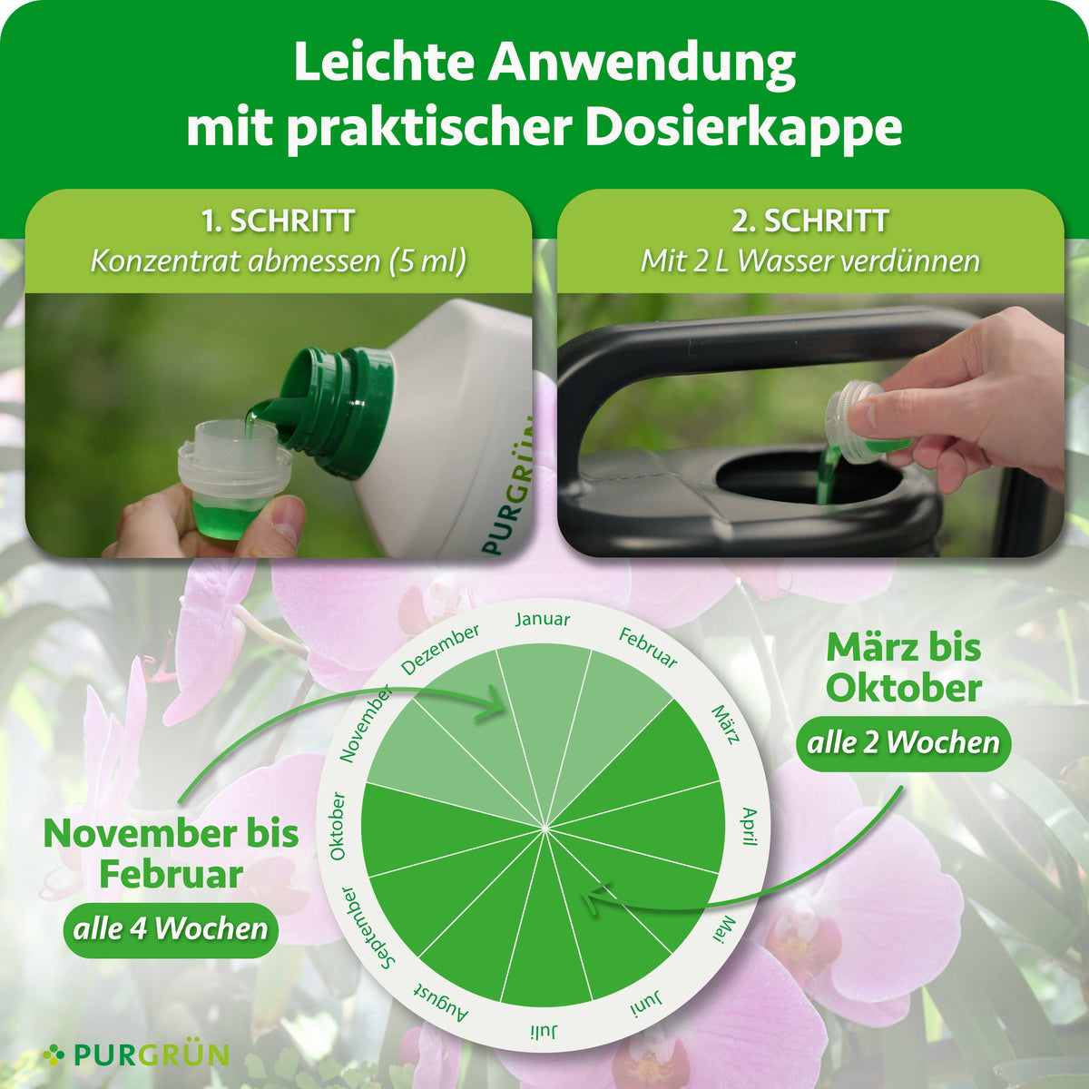 Anwendung: 5 ml Konzentrat mit 2 Litern Wasser verdünnen; von März bis Oktober alle 2 Wochen, von November bis Februar alle 4 Wochen düngen.