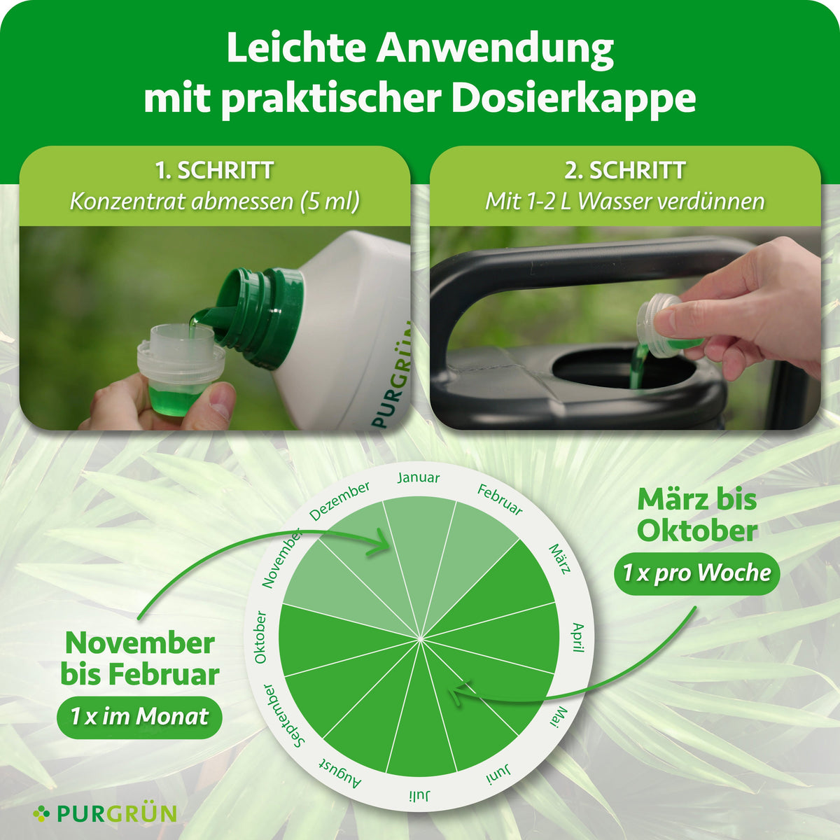 Palmendünger mit der Dosierkappe abmessen (5 ml) und mit 1–2 l Wasser verdünnen; März bis Oktober 1× pro Woche, November bis Februar 1× im Monat anwenden.
