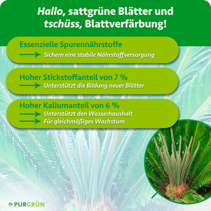 Essenzielle Spurennährstoffe sichern die Nährstoffversorgung; 7 % Stickstoff unterstützen neue Blätter, 6 % Kalium den Wasserhaushalt und gleichmäßiges Wachstum.