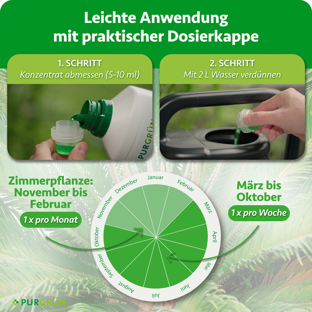 Anwendung: 5–10 ml Konzentrat abmessen und mit 2 Litern Wasser verdünnen; von November bis Februar monatlich, von März bis Oktober wöchentlich anwenden.