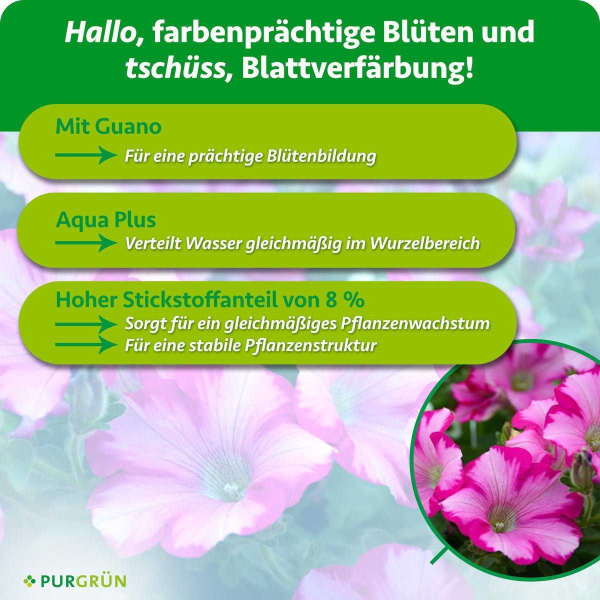 Mit Guano für eine prächtige Blütenbildung. Aqua Plus verteilt Wasser gleichmäßig im Wurzelbereich. 8 % Stickstoff unterstützen gleichmäßiges Wachstum und eine stabile Pflanzenstruktur.