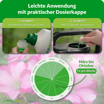 Anwendung: 5 ml Konzentrat abmessen, mit 1 Liter Wasser verdünnen und von März bis Oktober einmal pro Woche düngen.