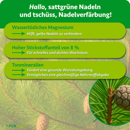 Wasserlösliches Magnesium hilft, gelbe Nadeln zu verhindern, 8 % Stickstoff fördern schnelles, dichtes Wachstum. Tonmineralien unterstützen eine gesunde Wurzelumgebung und gleichmäßige Nährstoffabgabe.