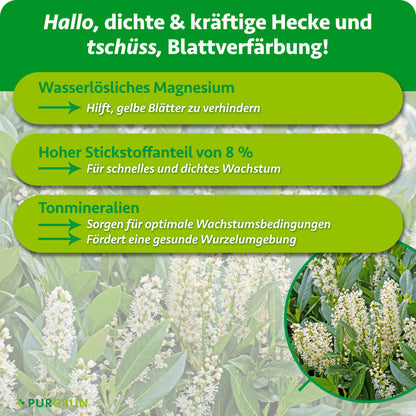 Wasserlösliches Magnesium beugt gelben Blättern vor, 8 % Stickstoff fördern schnelles, dichtes Wachstum und Tonmineralien unterstützen Wurzeln und Wachstumsbedingungen.