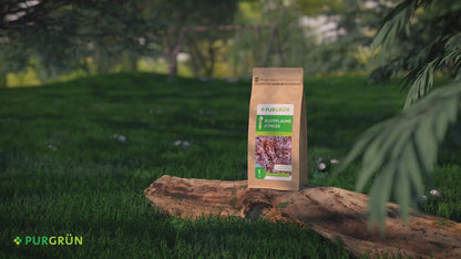 Bio-Blutpflaume-Dünger 1 kg
