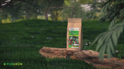 Ilex-Dünger 1 kg