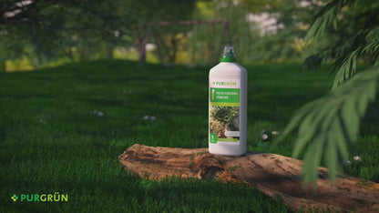 Ficus-Ginseng-Dünger 1 Liter