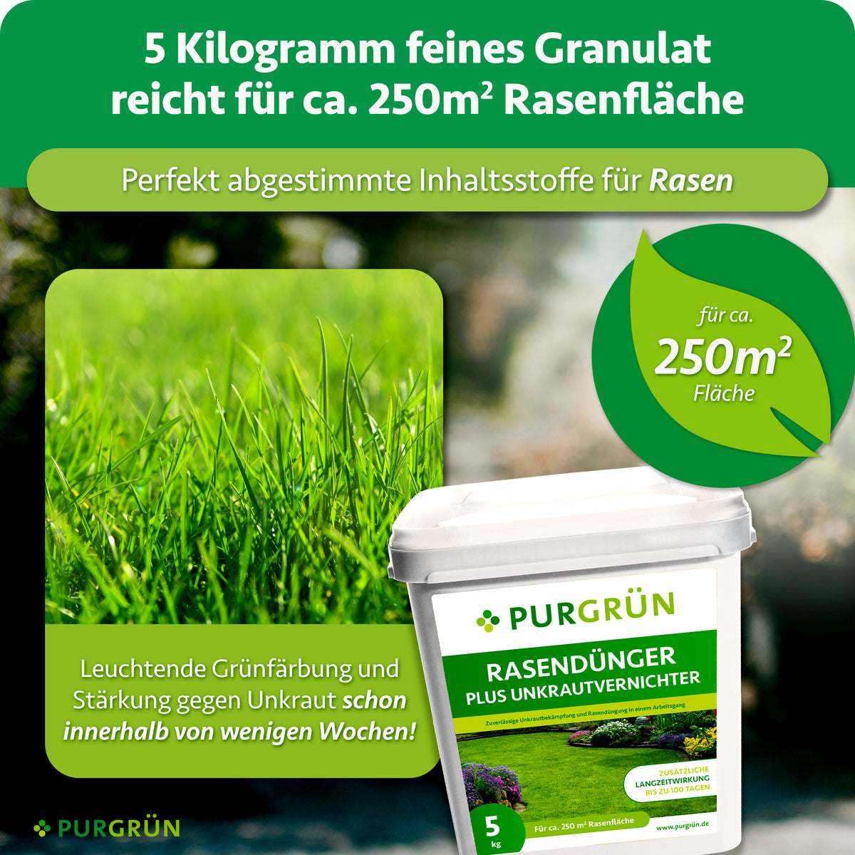 5 kg feines Granulat reichen für ca. 250 m² Rasenfläche und fördern innerhalb weniger Wochen eine leuchtende Grünfärbung und die Stärkung gegen Unkraut.