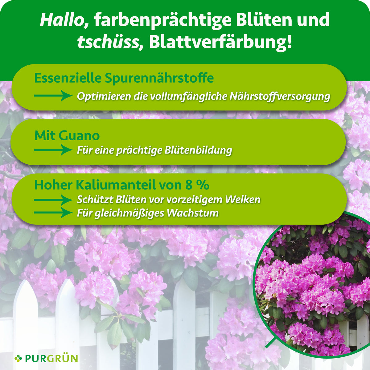 Essenzielle Spurennährstoffe optimieren die Nährstoffversorgung. Mit Guano für eine prächtige Blütenbildung. 8 % Kalium fördern gleichmäßiges Wachstum und schützen Blüten vor vorzeitigem Welken.