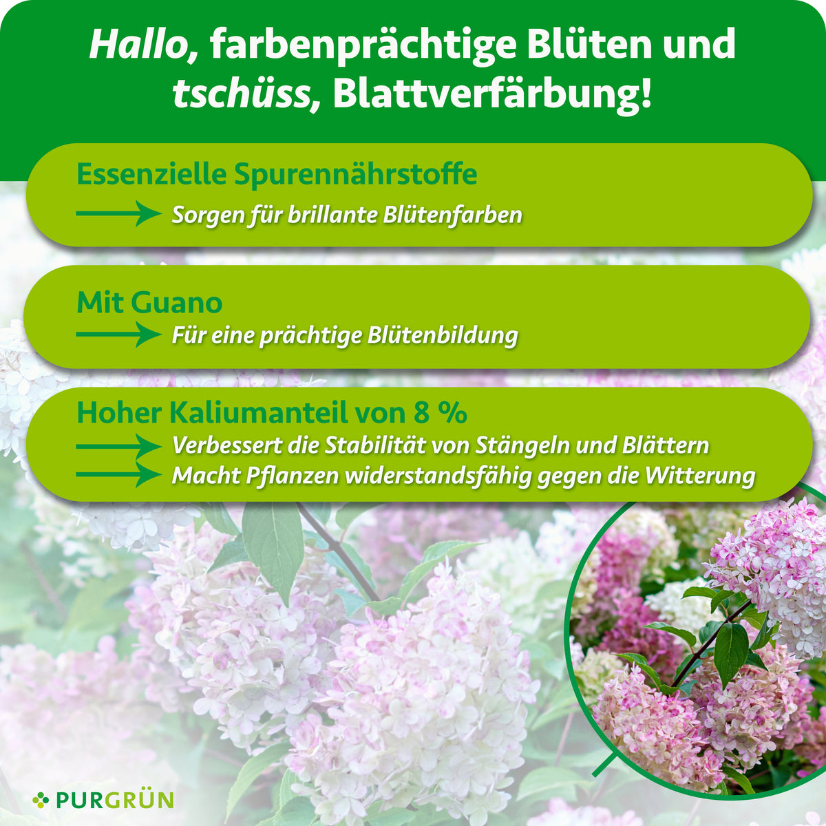 Essenzielle Spurennährstoffe sorgen für brillante Blütenfarben. Mit Guano für eine prächtige Blütenbildung. 8 % Kalium verbessern die Stabilität und Widerstandsfähigkeit der Pflanze.