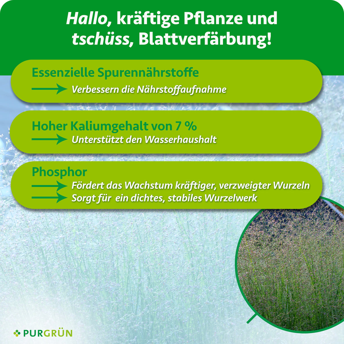 Spurennährstoffe verbessern die Nährstoffaufnahme, 7 % Kalium unterstützen den Wasserhaushalt und Phosphor fördert kräftige, verzweigte Wurzeln.