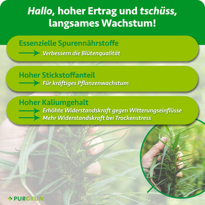 Essenzielle Spurennährstoffe sollen die Blütenqualität verbessern, Stickstoff das Wachstum fördern und Kalium die Widerstandskraft gegen Witterungseinflüsse und bei Trockenstress erhöhen.