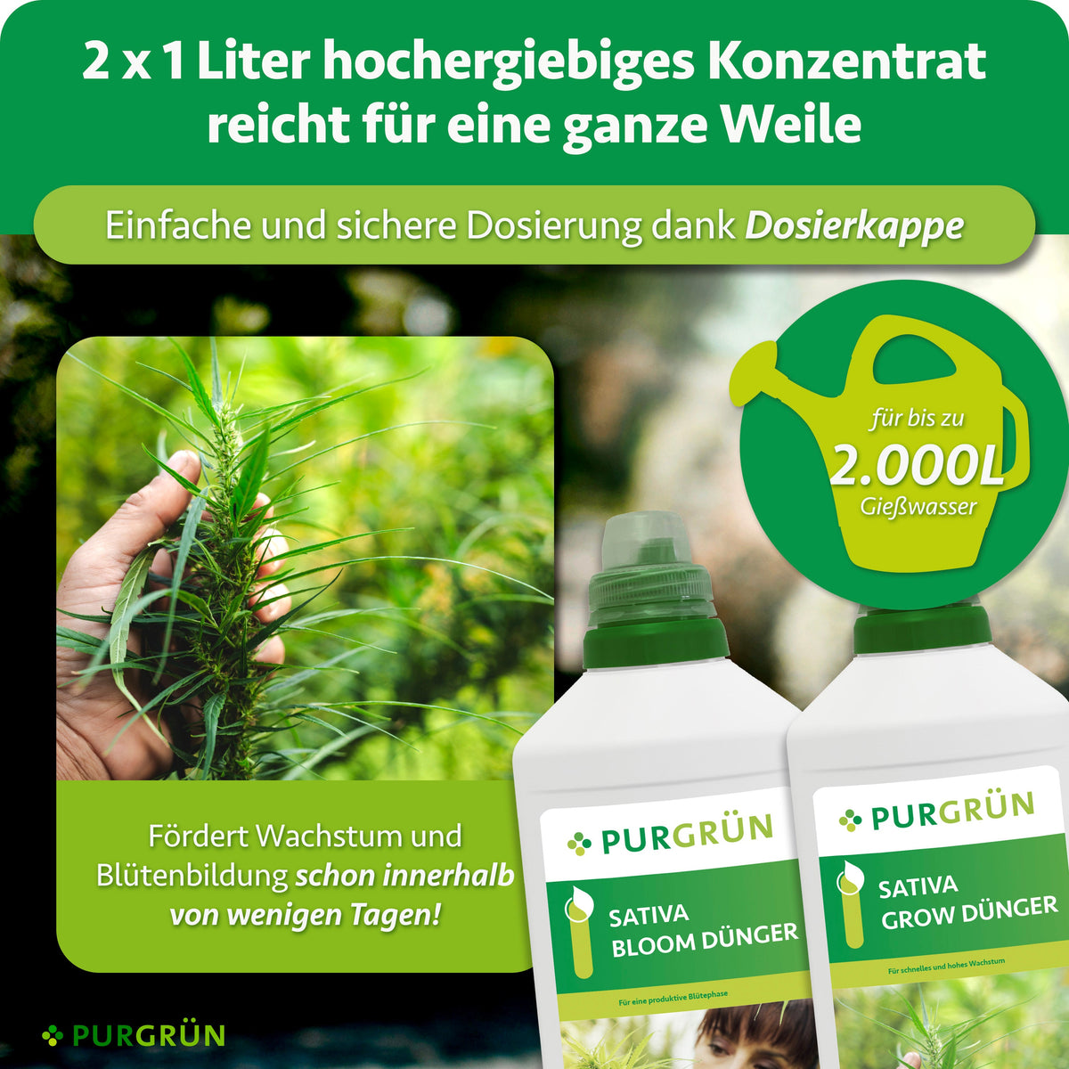 2 × 1 Liter Konzentrat mit Dosierkappe reichen laut Grafik für bis zu 2.000 Liter Gießwasser und fördern Wachstum und Blütenbildung innerhalb weniger Tage.