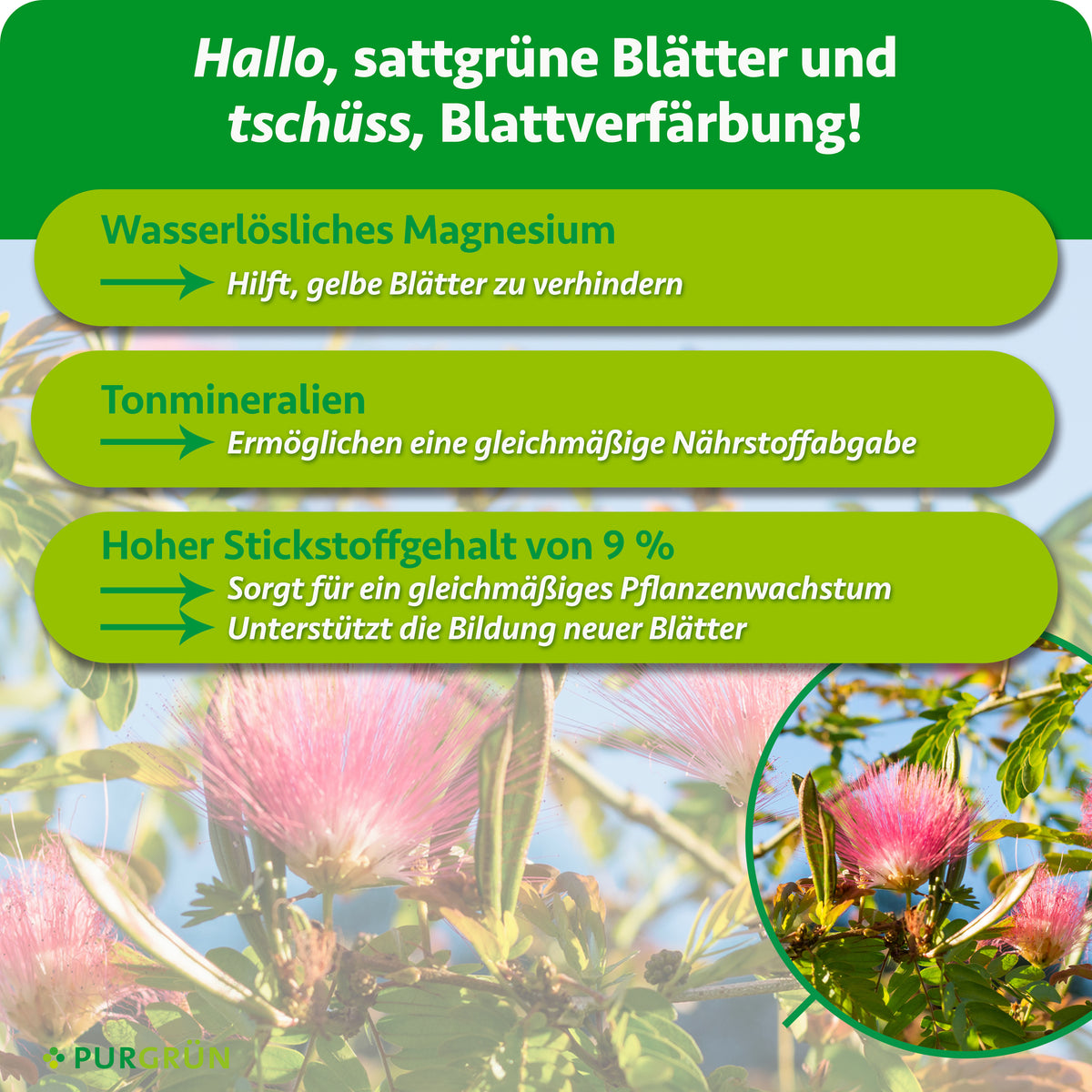 Wasserlösliches Magnesium hilft, gelbe Blätter zu verhindern, Tonmineralien ermöglichen eine gleichmäßige Nährstoffabgabe. 9 % Stickstoff fördern gleichmäßiges Pflanzenwachstum und die Bildung neuer Blätter.