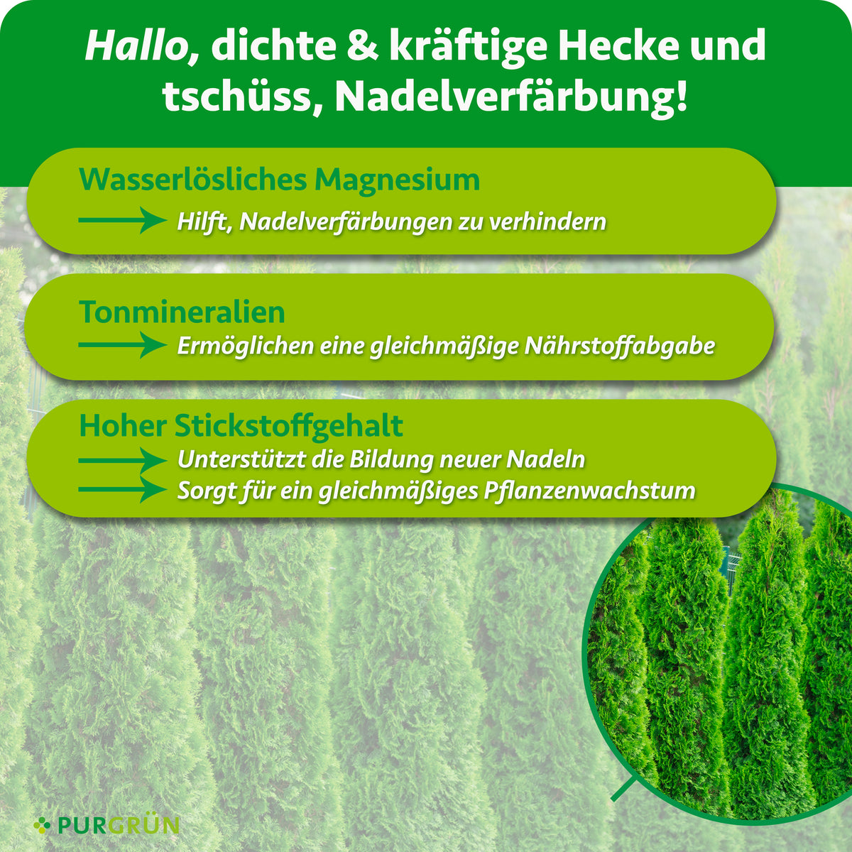 Wasserlösliches Magnesium hilft, Nadelverfärbungen zu verhindern, Tonmineralien ermöglichen eine gleichmäßige Nährstoffabgabe und Stickstoff unterstützt neue Nadeln sowie gleichmäßiges Wachstum.