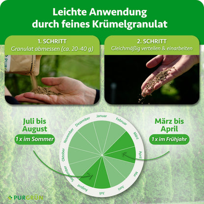 Je Pflanze etwa 20–40 g Granulat abmessen, gleichmäßig verteilen und einarbeiten; einmal im März bis April und einmal im Juli bis August düngen.