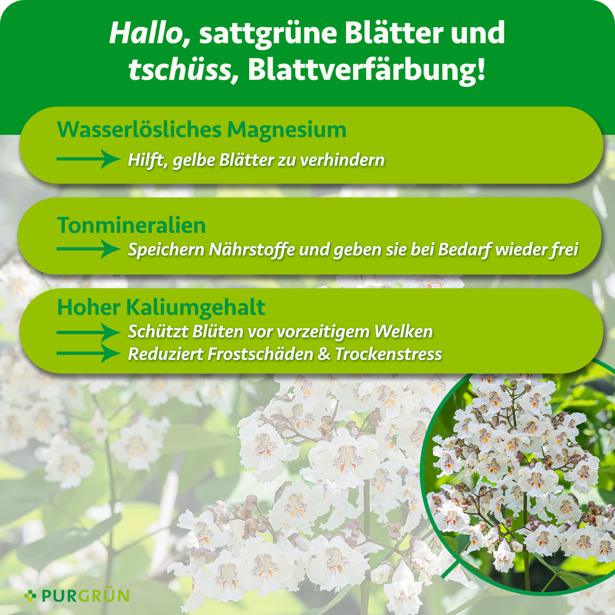 Wasserlösliches Magnesium hilft, gelbe Blätter zu verhindern, Tonmineralien speichern Nährstoffe und geben sie bei Bedarf frei. Hoher Kaliumgehalt schützt Blüten vor vorzeitigem Welken und reduziert Frostschäden sowie Trockenstress.