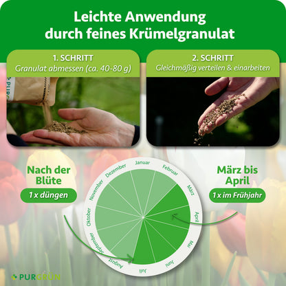 Ca. 40–80 g Granulat abmessen, gleichmäßig verteilen und einarbeiten. Einmal von März bis April und einmal nach der Blüte düngen.