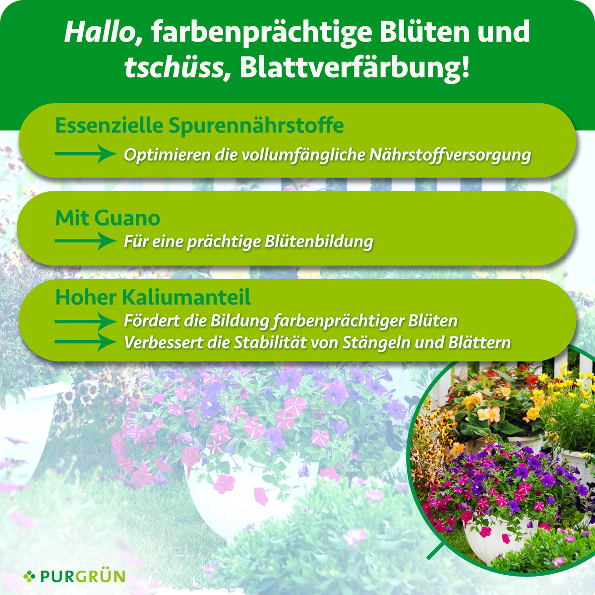 Essenzielle Spurennährstoffe optimieren die Nährstoffversorgung. Mit Guano für eine prächtige Blütenbildung. Ein hoher Kaliumanteil fördert farbenprächtige Blüten und stabile Stängel und Blätter.