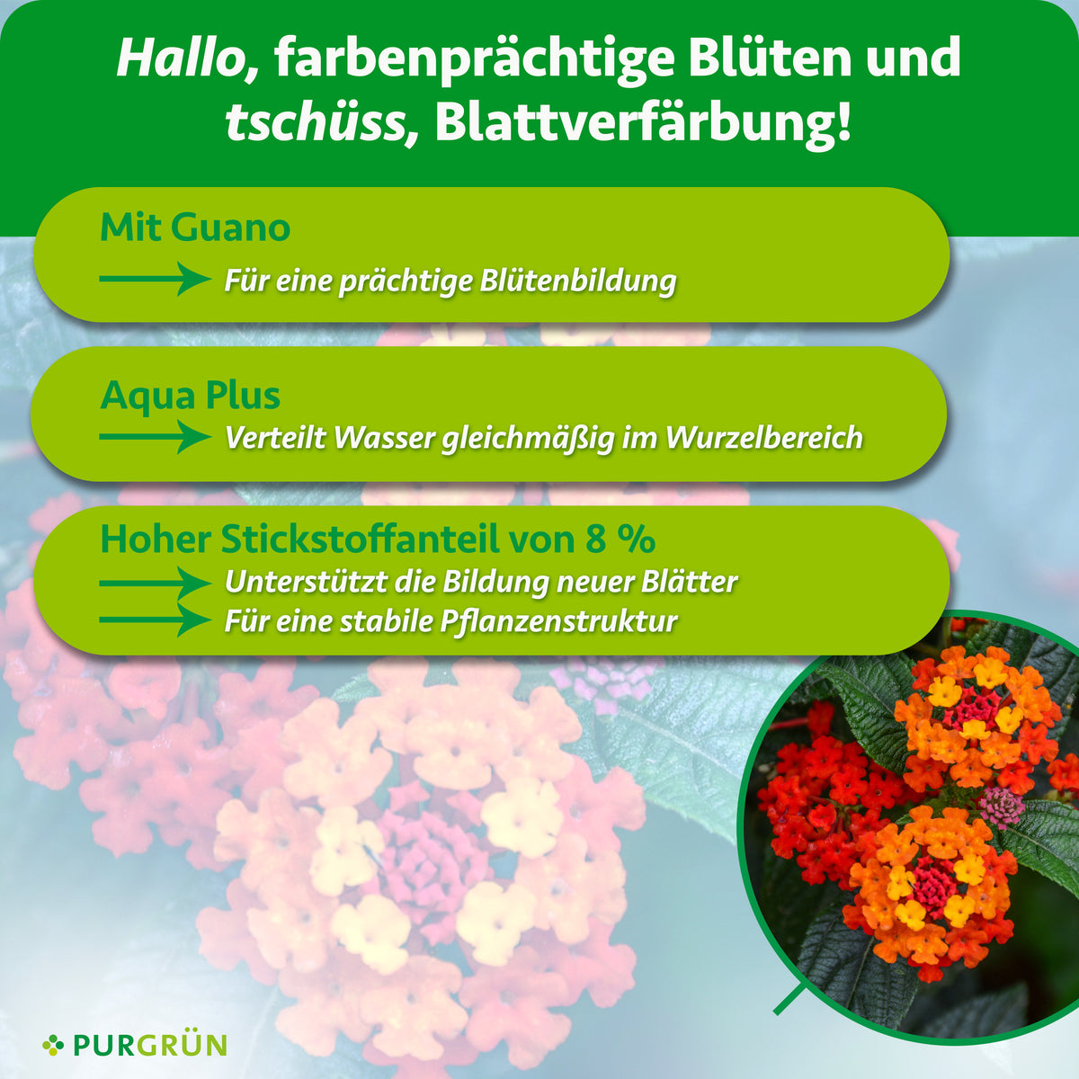 Mit Guano für eine prächtige Blütenbildung. Aqua Plus verteilt Wasser gleichmäßig im Wurzelbereich und 8 % Stickstoff unterstützen neue Blätter und eine stabile Pflanzenstruktur.