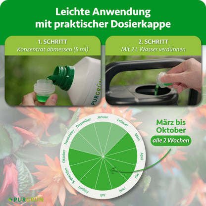 Anwendung: 5 ml Konzentrat abmessen, mit 2 L Wasser verdünnen und von März bis Oktober alle 2 Wochen anwenden.