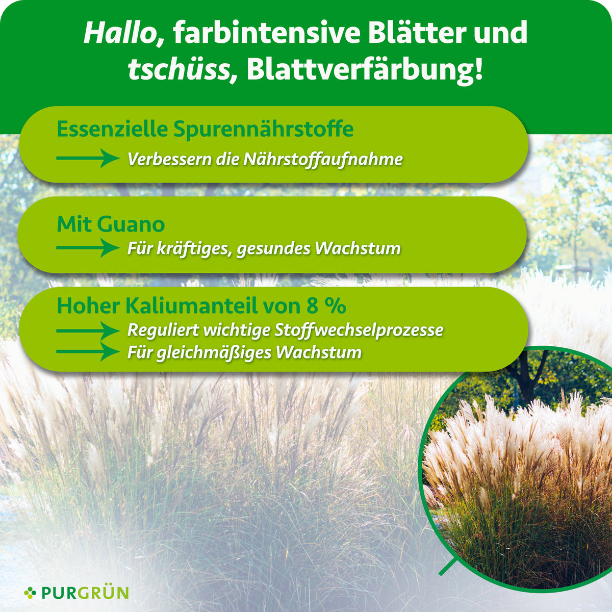 Essenzielle Spurennährstoffe verbessern die Nährstoffaufnahme und 8 % Kalium fördern gleichmäßiges Wachstum. Mit Guano für kräftiges, gesundes Wachstum.