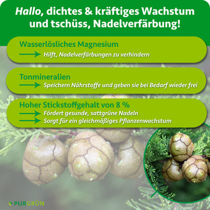 Wasserlösliches Magnesium hilft, Nadelverfärbungen zu verhindern, Tonmineralien speichern und dosieren Nährstoffe, und 8 % Stickstoff fördern sattgrüne Nadeln sowie gleichmäßiges Wachstum.