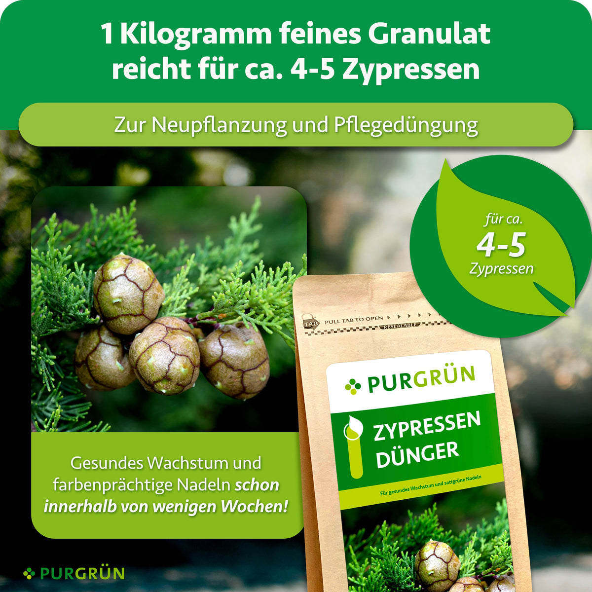 1 kg feines Granulat reicht für ca. 4–5 Zypressen zur Neupflanzung und Pflegedüngung; gesundes Wachstum und farbenprächtige Nadeln werden innerhalb weniger Wochen versprochen.