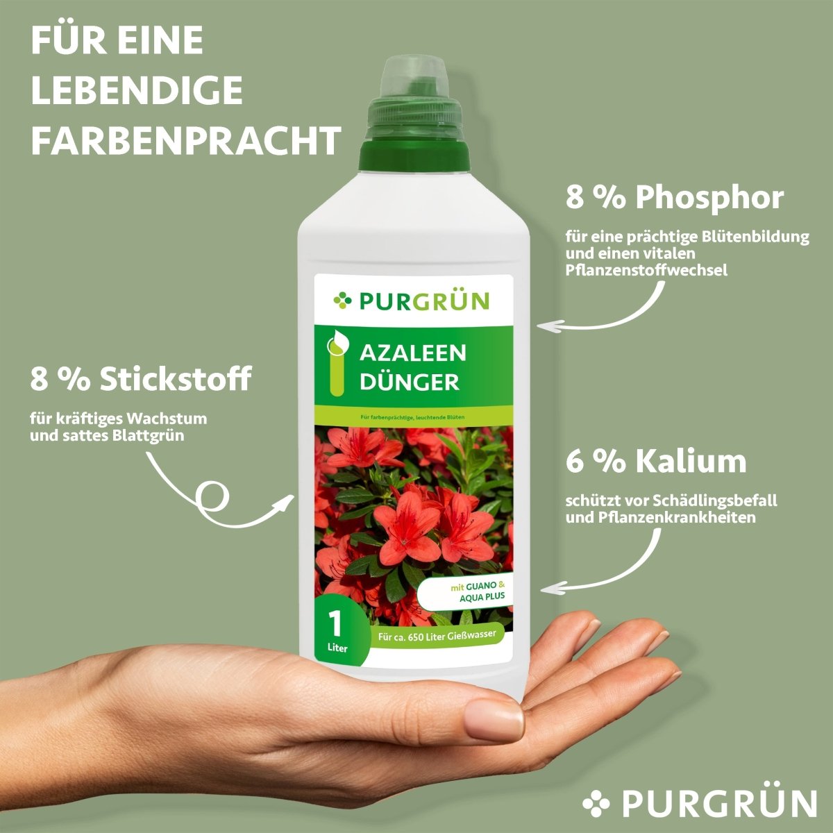 Azaleen-Dünger 1 Liter - Purgrün