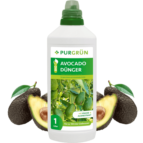 Bio-Avocadodünger 1 Liter - Purgrün