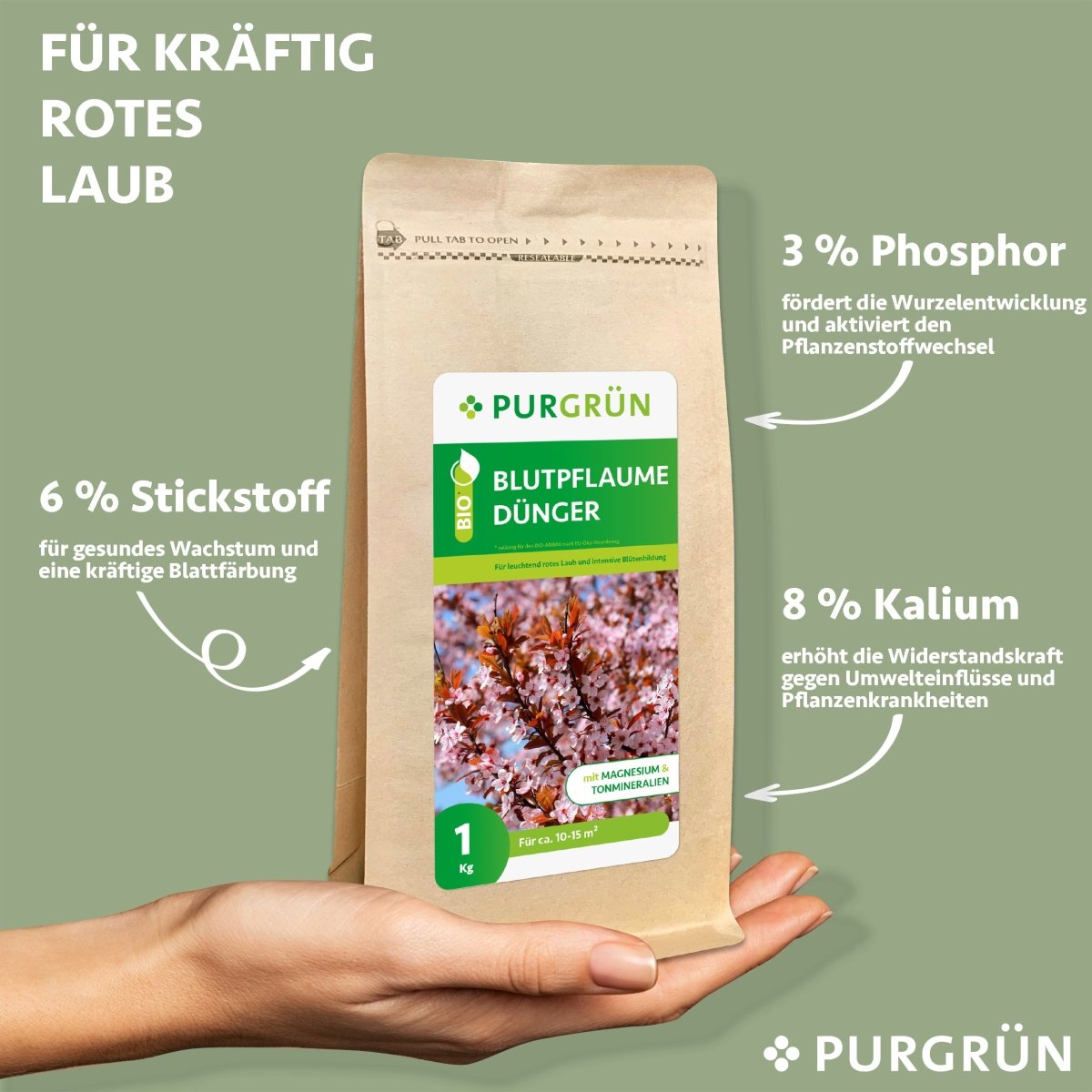 Bio-Blutpflaume-Dünger 1 kg - Purgrün