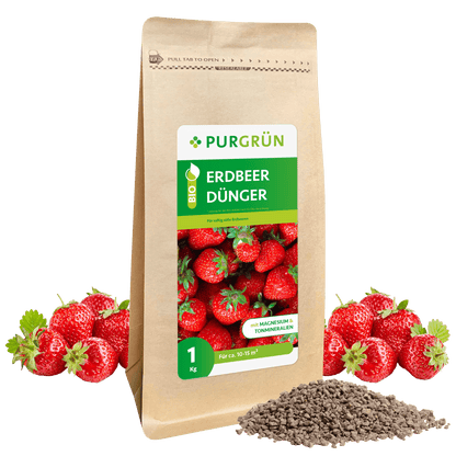 Bio-Erdbeerdünger 1 kg - Purgrün