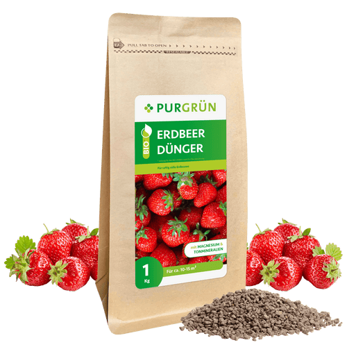 Bio-Erdbeerdünger 1 kg - Purgrün
