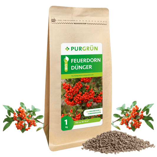 Bio-Feuerdorn-Dünger 1 kg - Purgrün