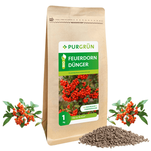 Bio-Feuerdorn-Dünger 1 kg - Purgrün