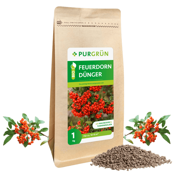 Bio-Feuerdorn-Dünger 1 kg - Purgrün