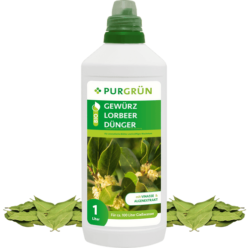 Bio-Gewürzlorbeer-Dünger 1 Liter - Purgrün