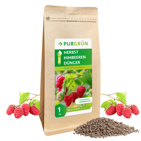 Bio-Herbsthimbeeren-Dünger 1 kg - Purgrün