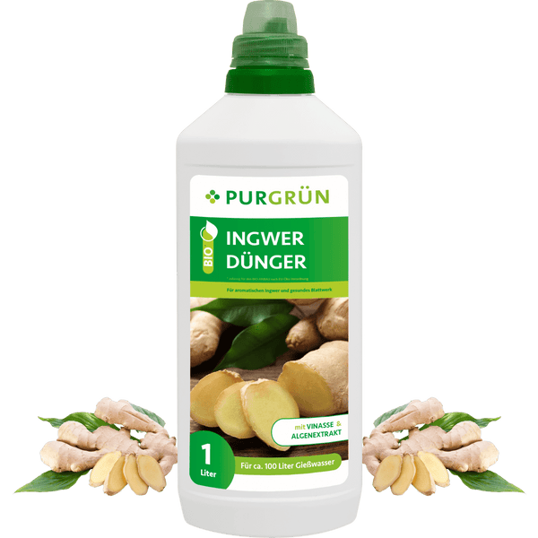 Bio-Ingwer-Dünger 1 Liter - Purgrün