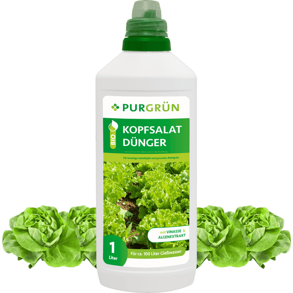 Bio-Kopfsalat-Dünger 1 Liter - Purgrün